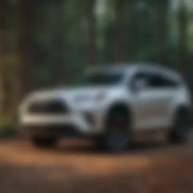 2019 Toyota Highlander parked in a natural outdoor setting