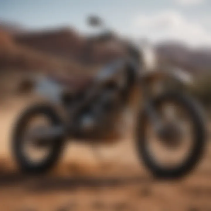 Infographic of dirt bike market trends and VIN importance