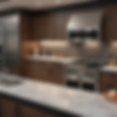 Close-up of the amenities in the 2020 Dutchmen Kodiak Ultimate kitchen