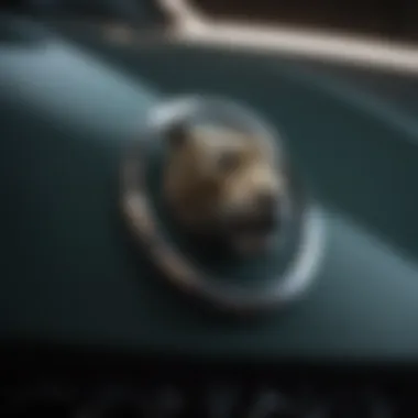 A close-up of the Jaguar emblem highlighting brand prestige