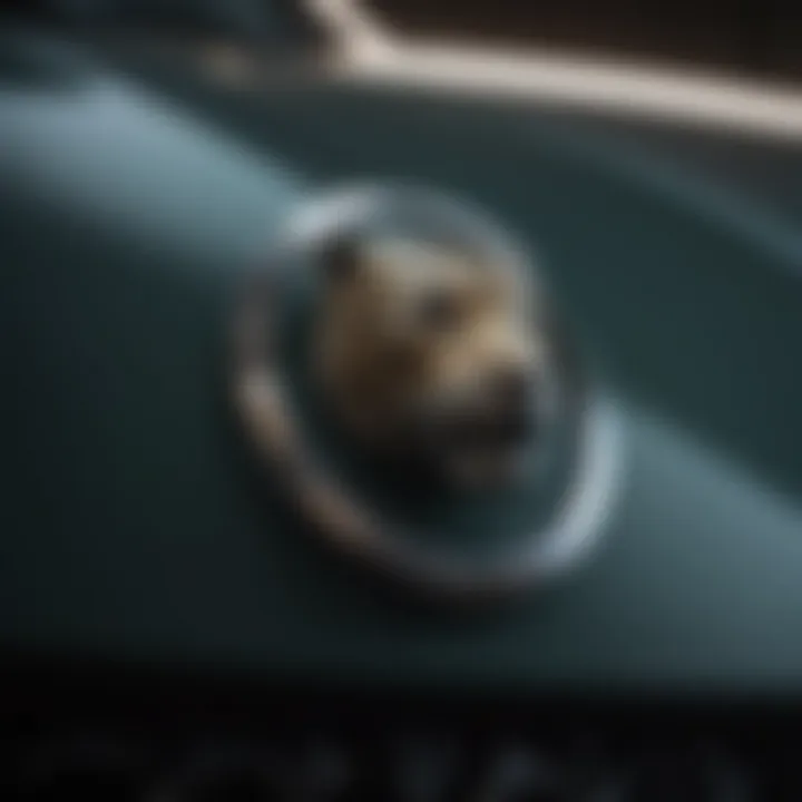 A close-up of the Jaguar emblem highlighting brand prestige